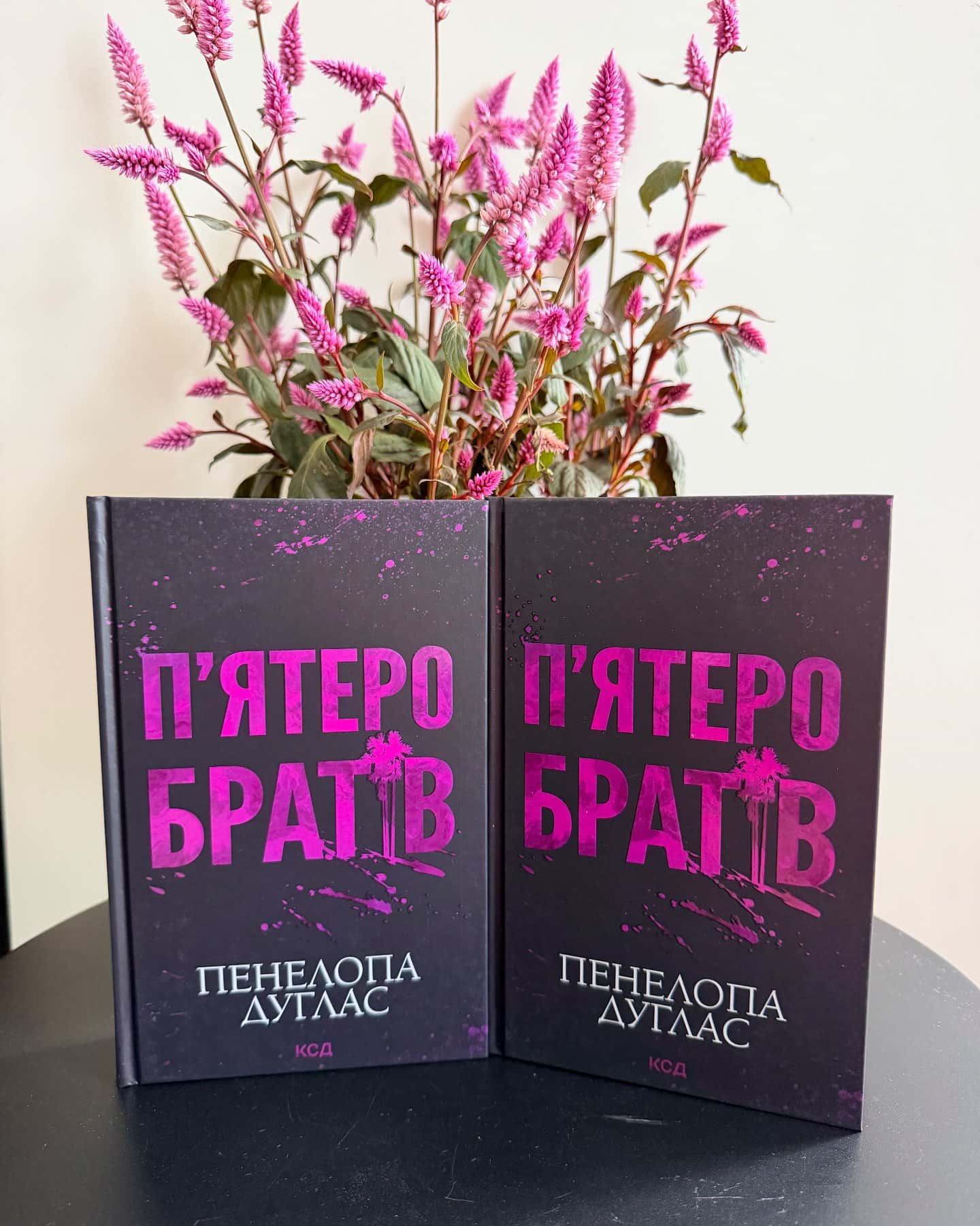 Пʼятеро братів — Пенелопа Дуглас
