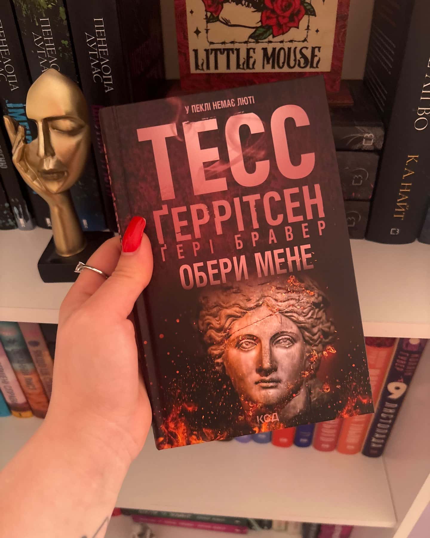 Обери мене — Тесс Ґеррітсен, Ґері Бравер