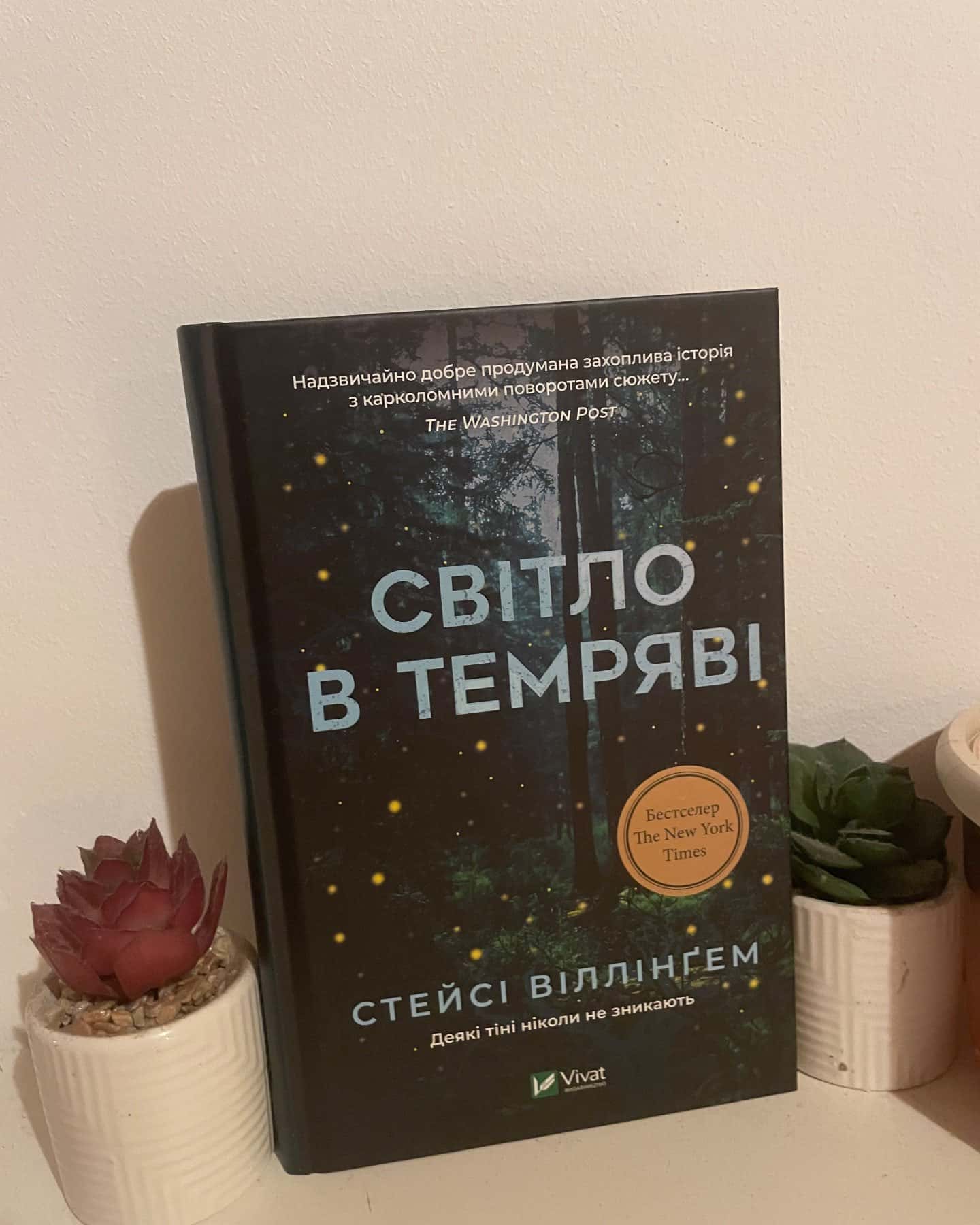 Світло в темряві — Стейсі Віллінґем
