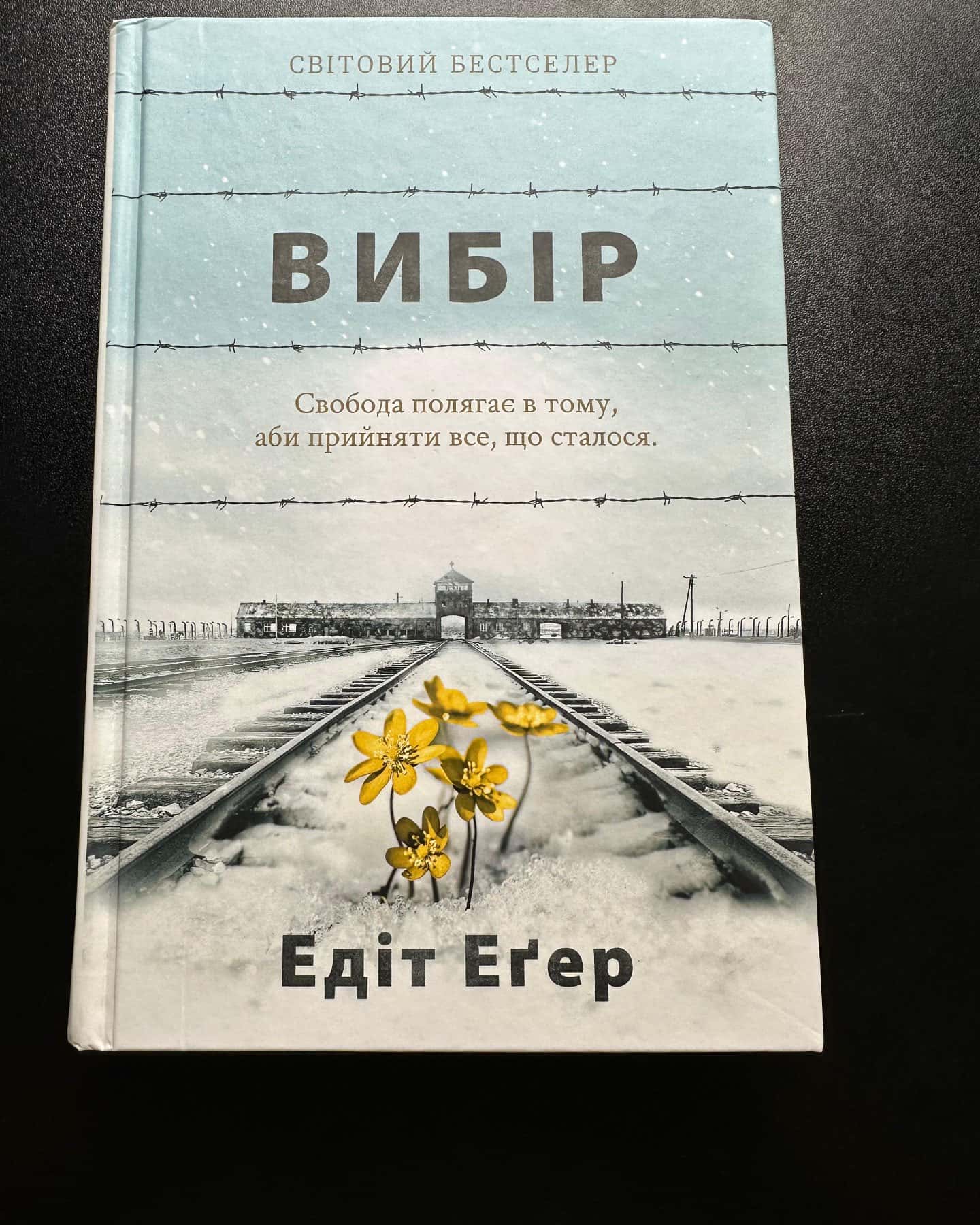 Вибір. Прийняти можливе-Едіт Єва Еґер