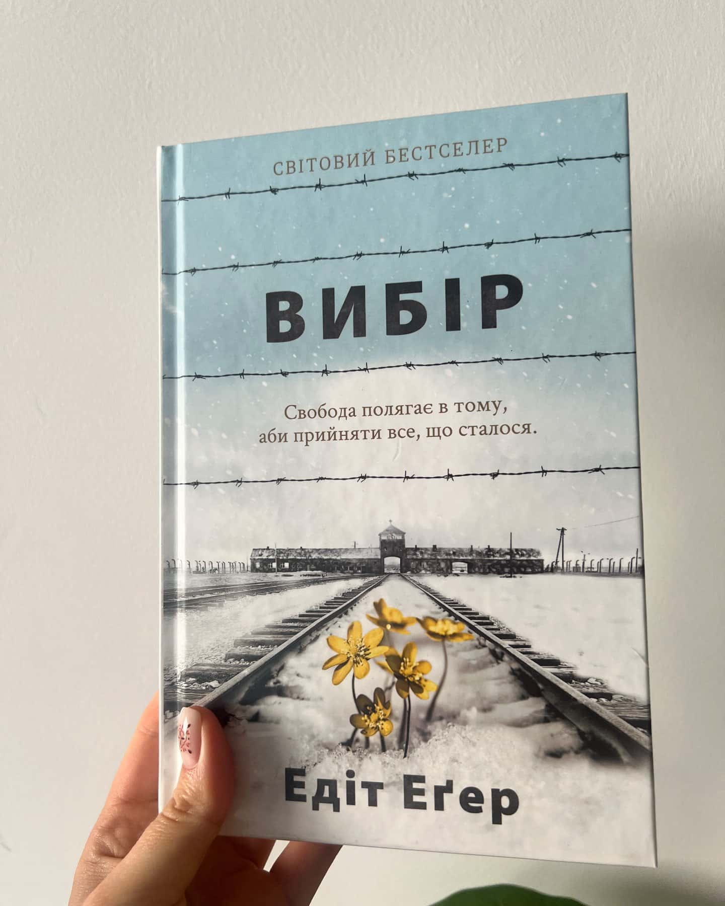 Вибір. Прийняти можливе-Едіт Єва Еґер