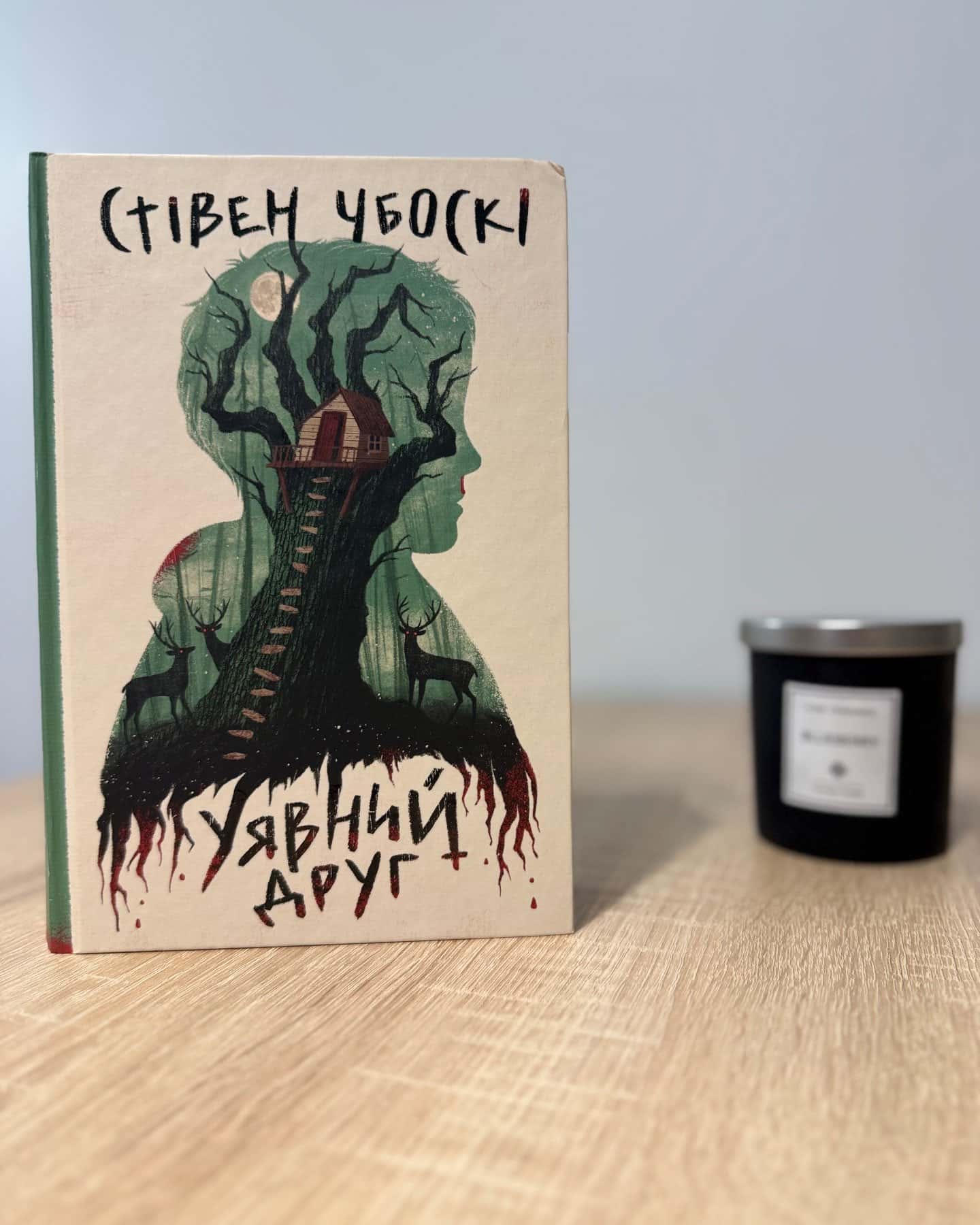 Уявний друг — Стівен Чбоскі
