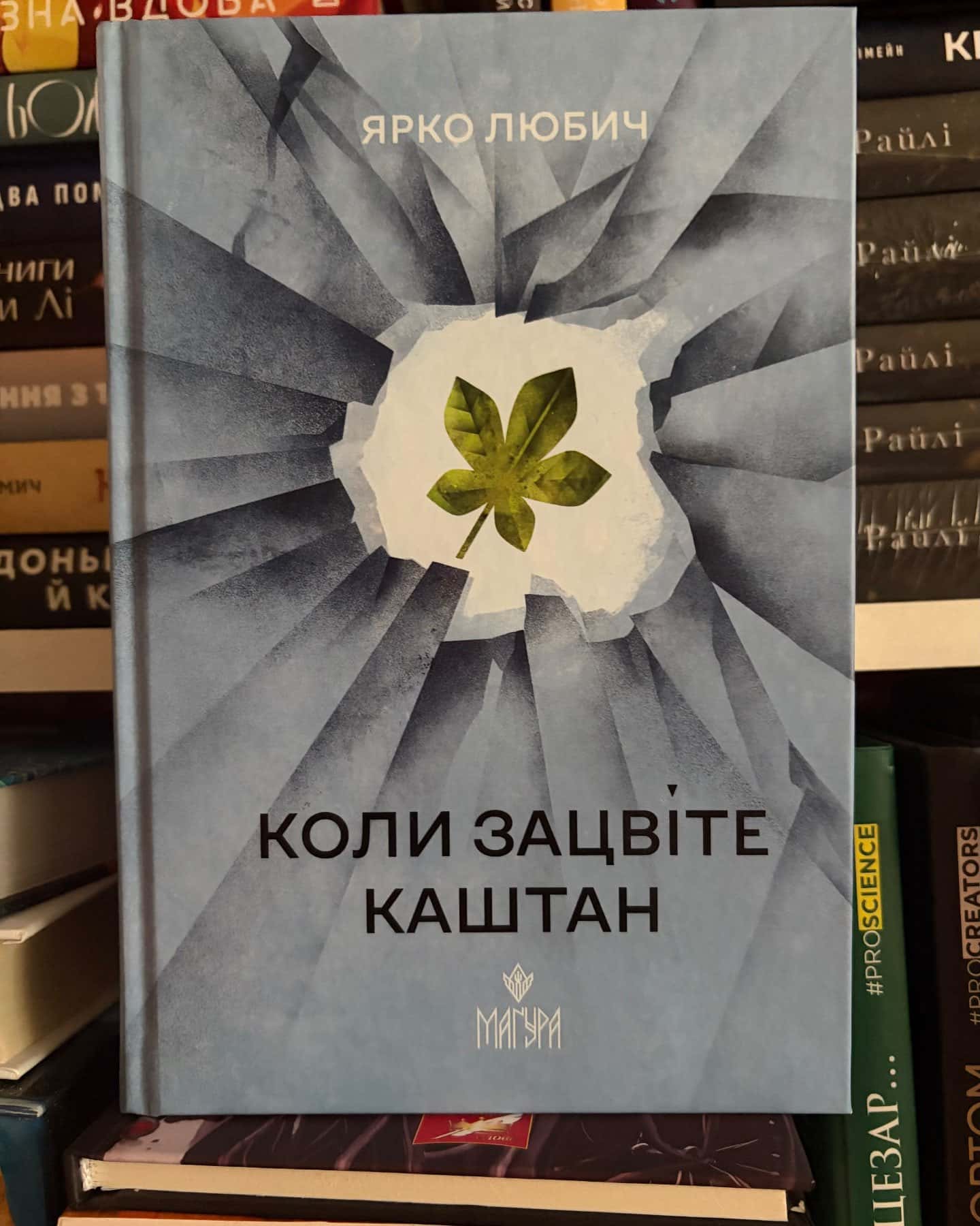 Коли зацвіте каштан — Ярко Любич