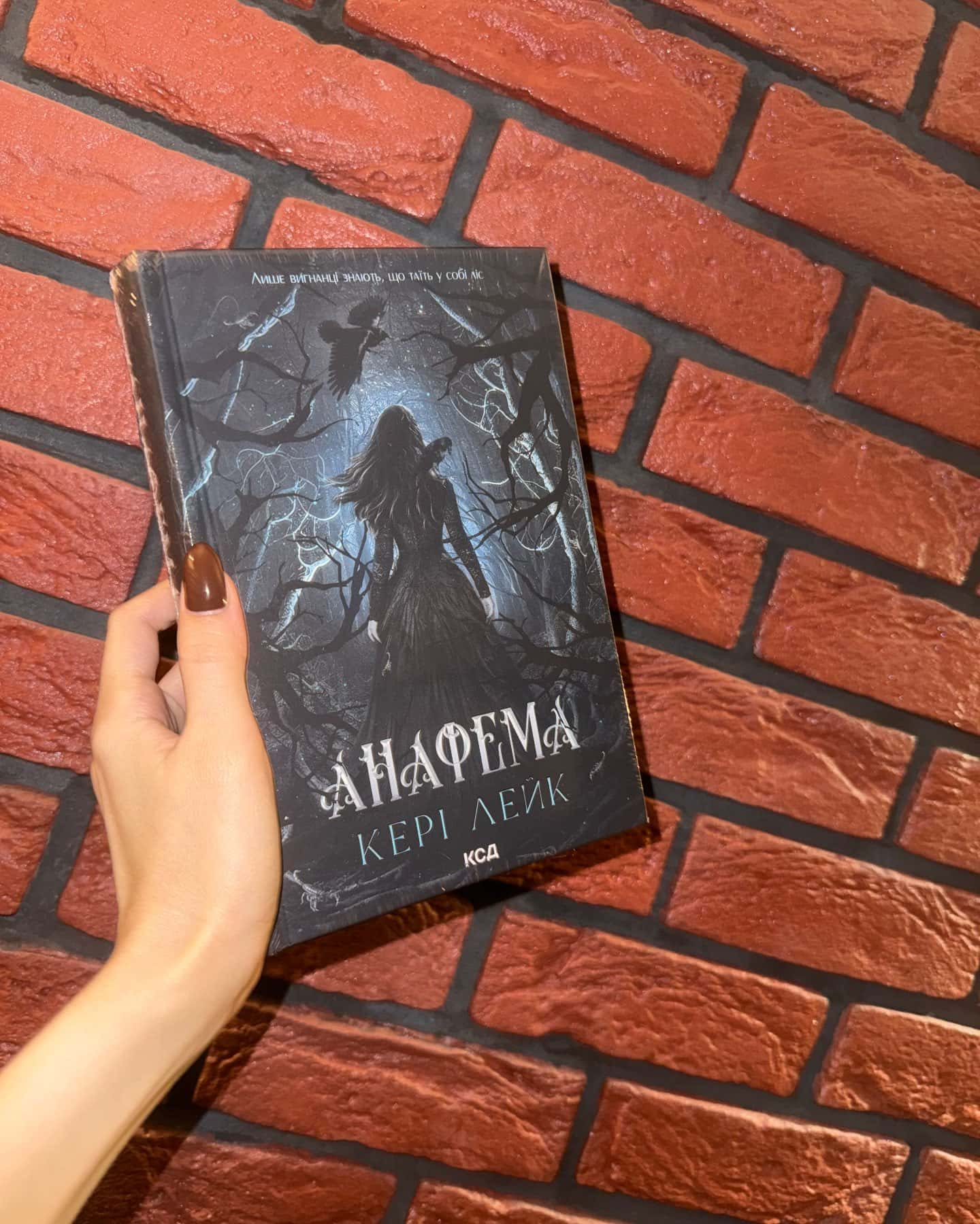 Анафема. Книга 1 — Кері Лейк