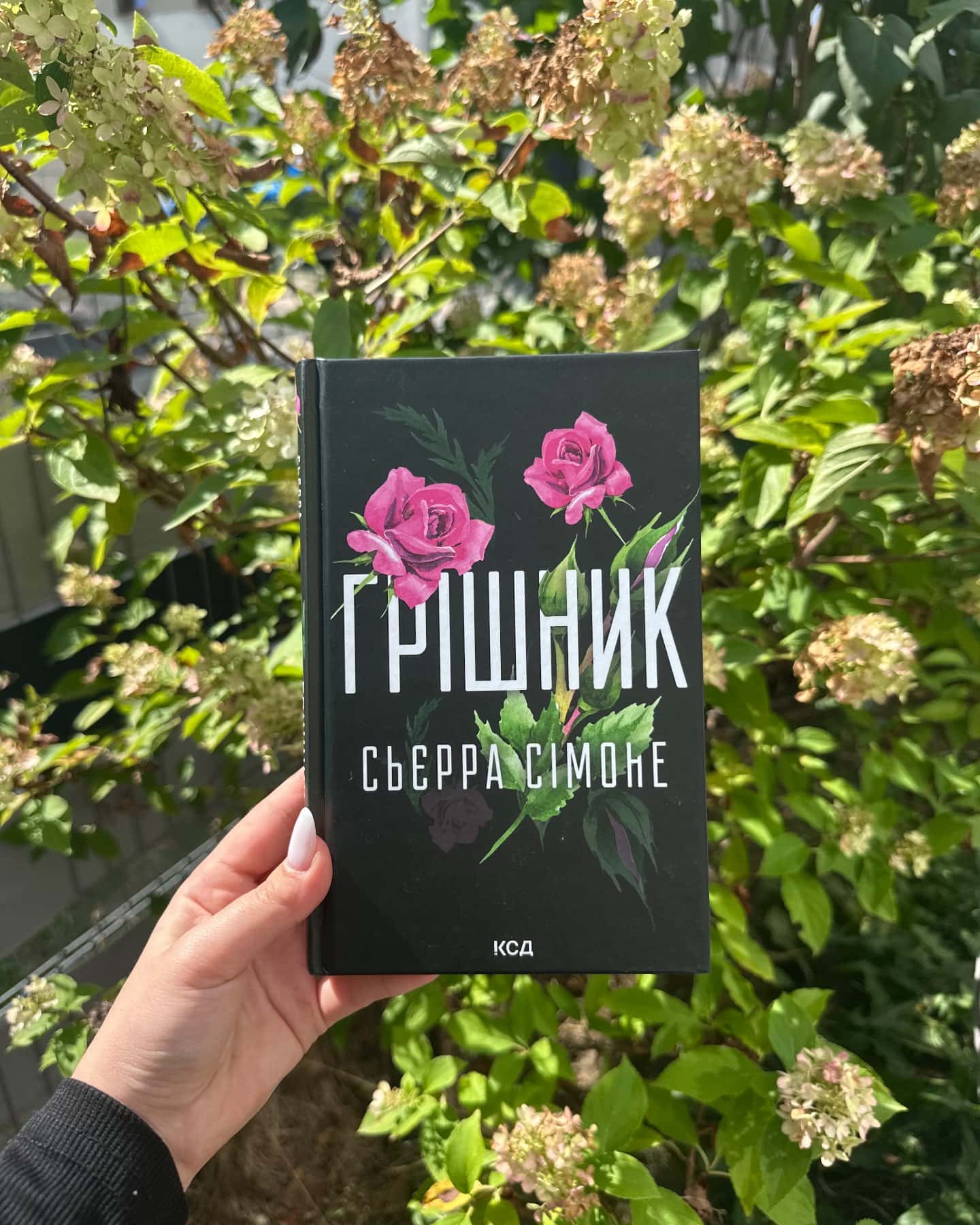 Грішник. Книга 2 — Сьєрра Сімоне