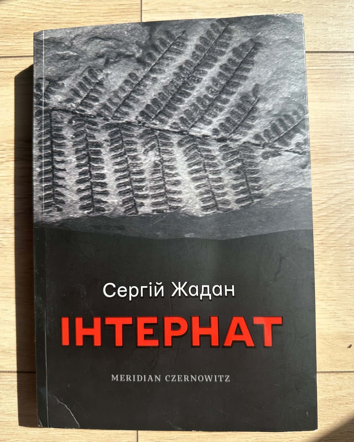Інтернат — Сергій Жадан