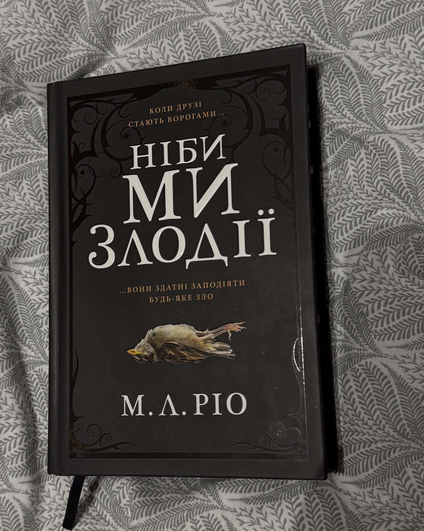 Ніби ми злодії — М. Л. Ріо