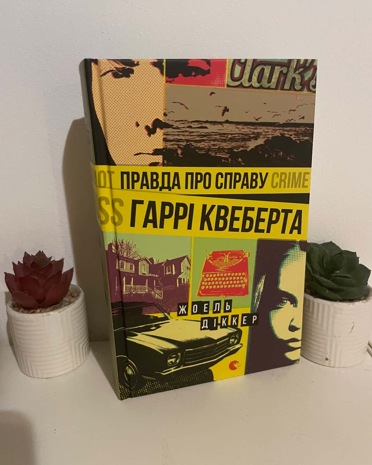 Правда про справу Гаррі Квеберта — Жоель Діккер