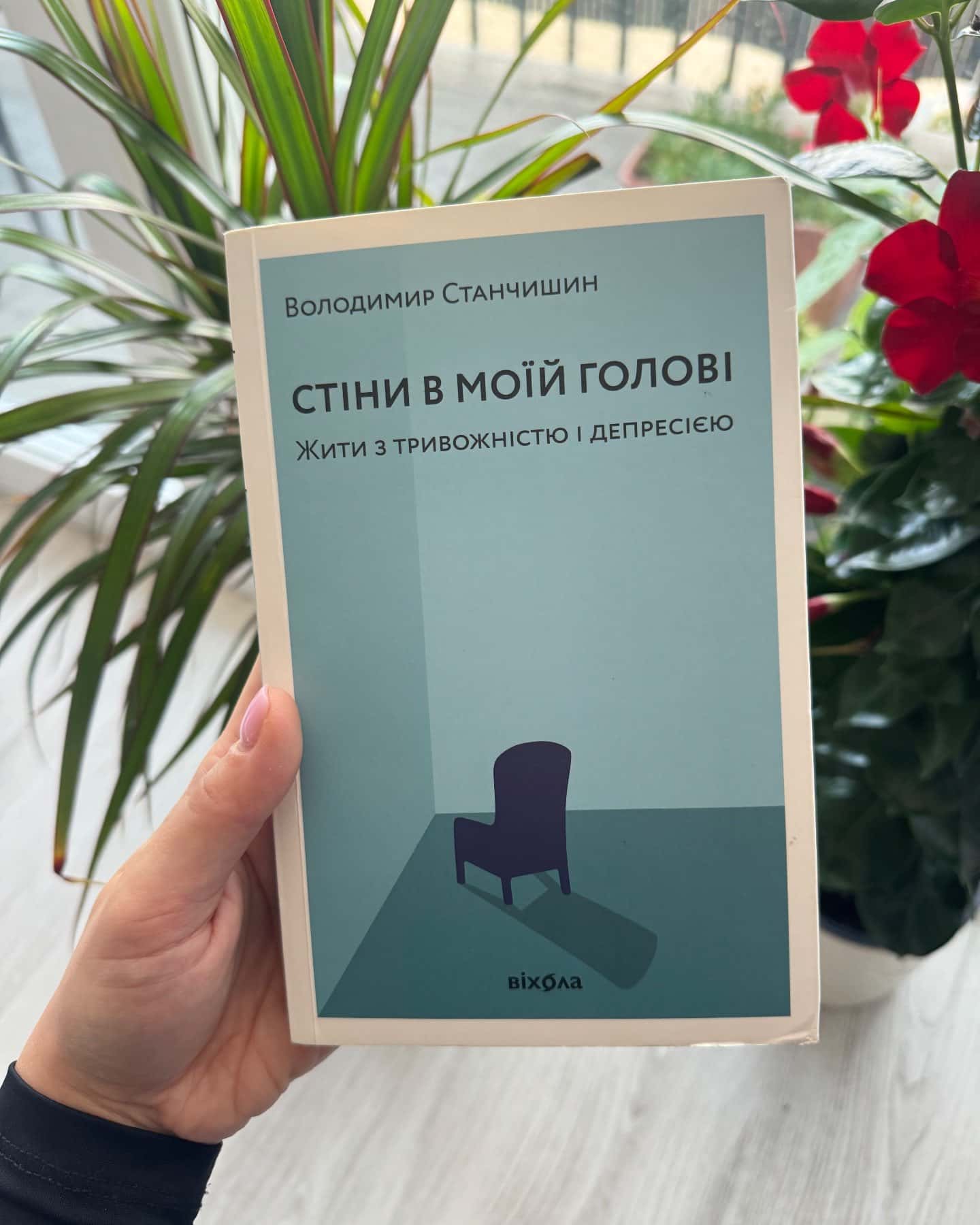 Стіни в моїй голові. Жити з тривожністю і депресією — Володимир Станчишин
