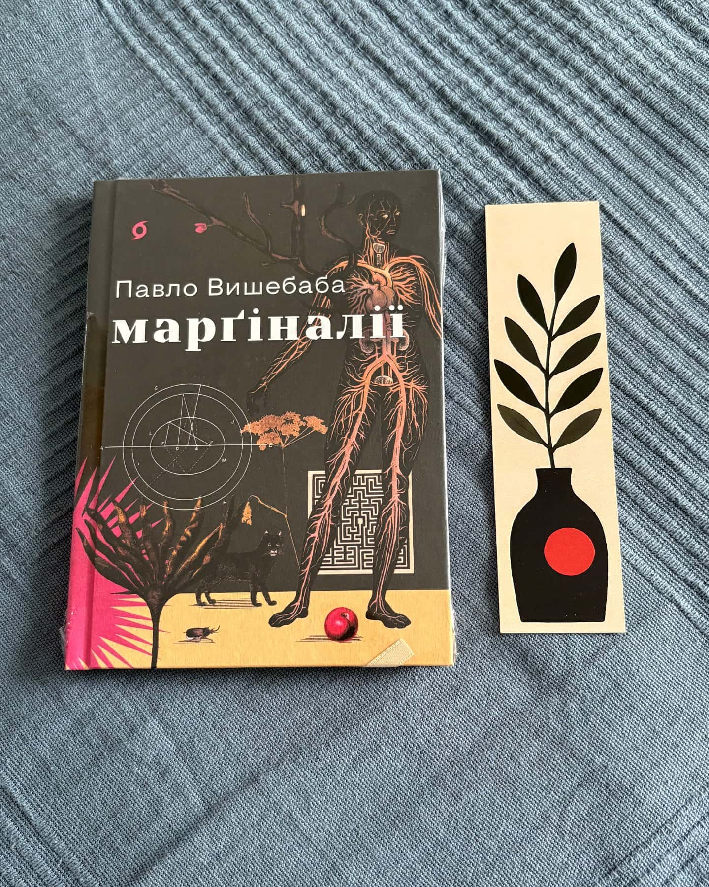 Марґіналії — Павло Вишебаба