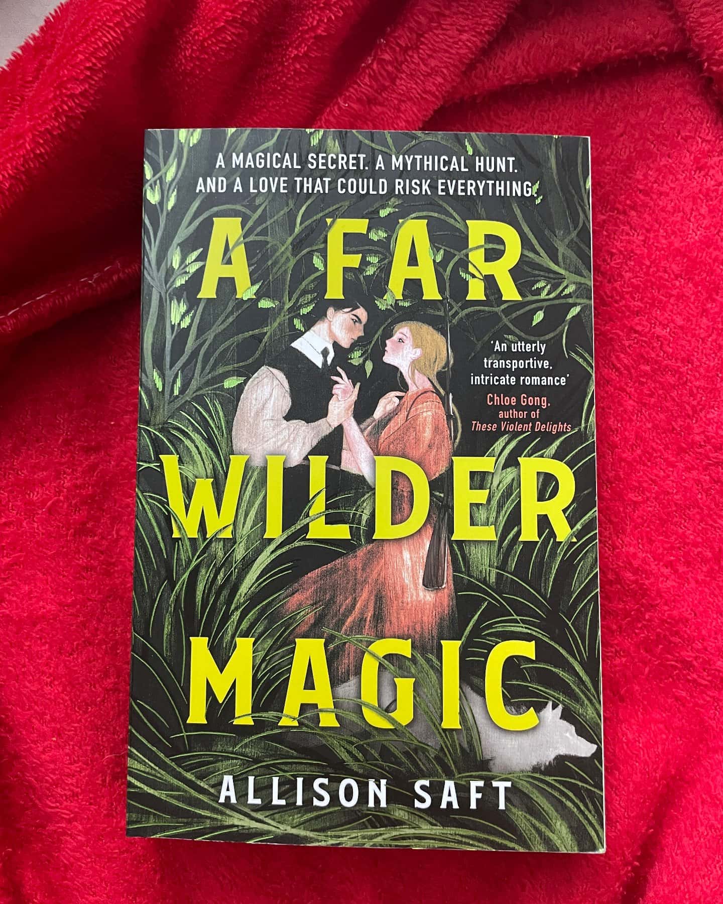 A far wilder magic — Allison Saft