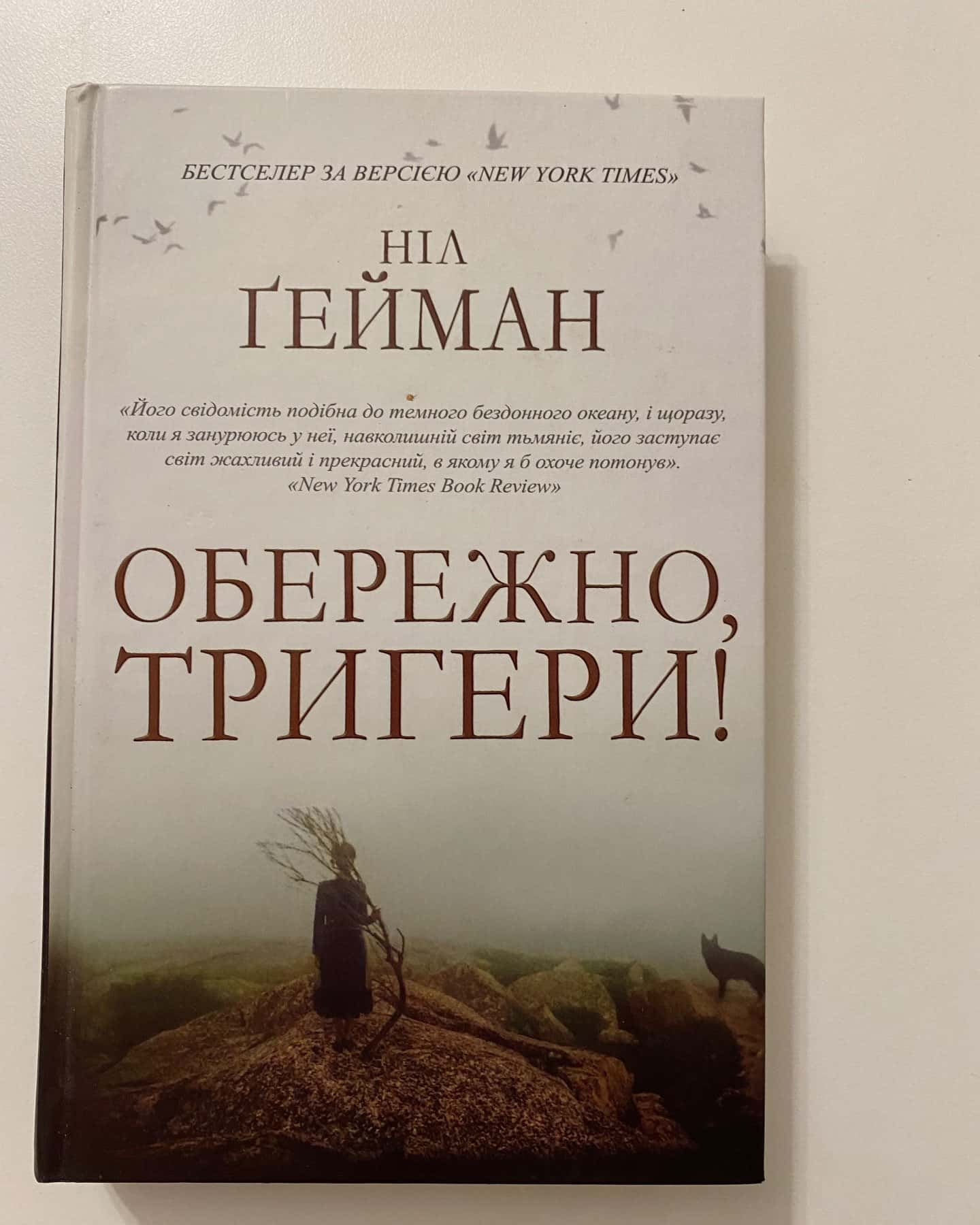 Обережно, тригери! — Ніл Ґейман