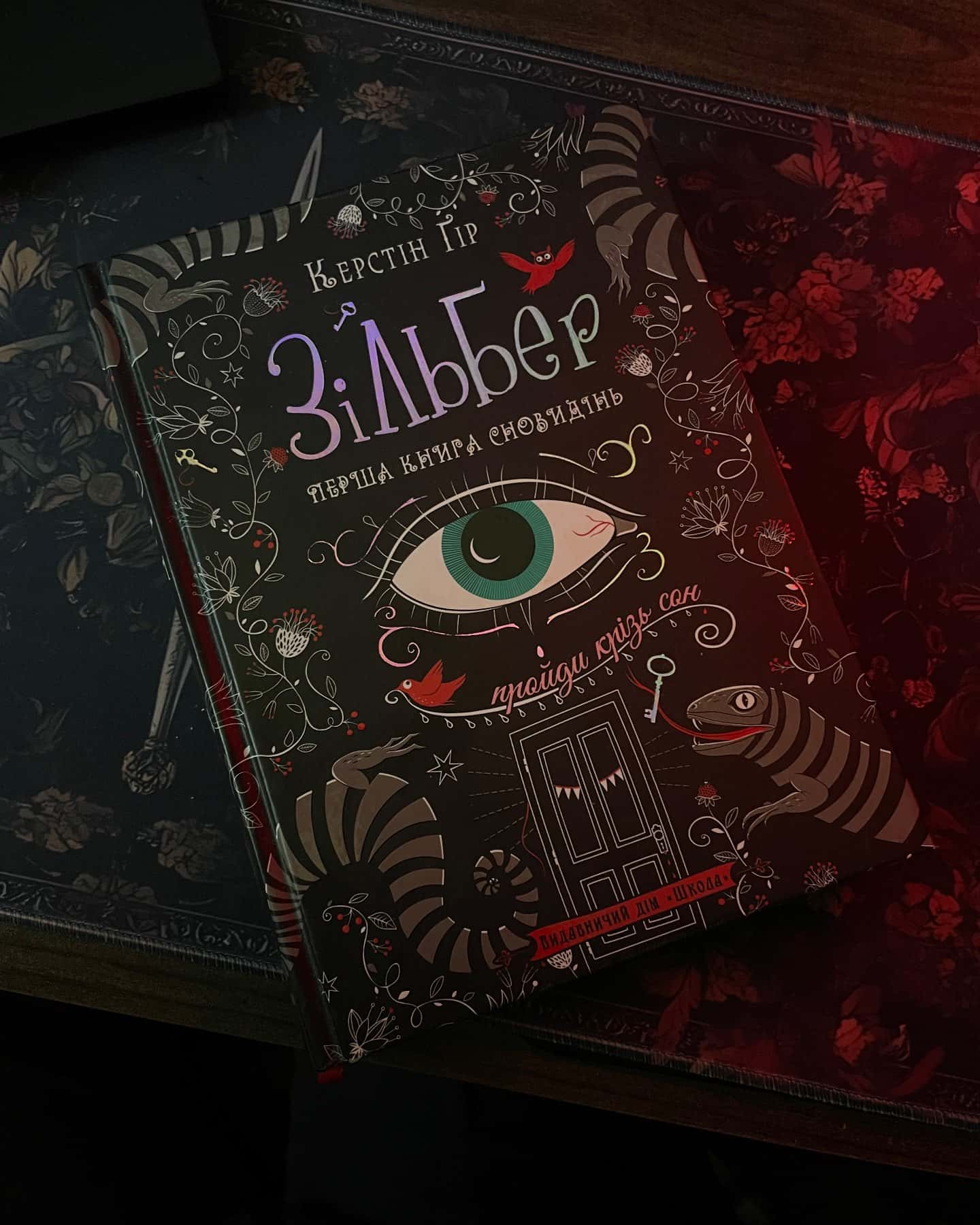 Зільбер. Перша книга сновидінь-Керстін Гір